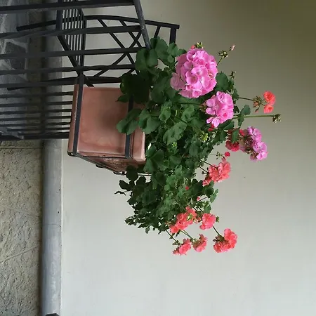 Villa Sofia *